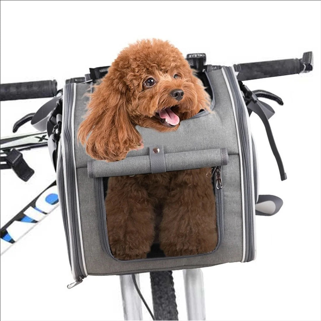 Foldable Mesh Pet Carrier for Cats & Small Dogs