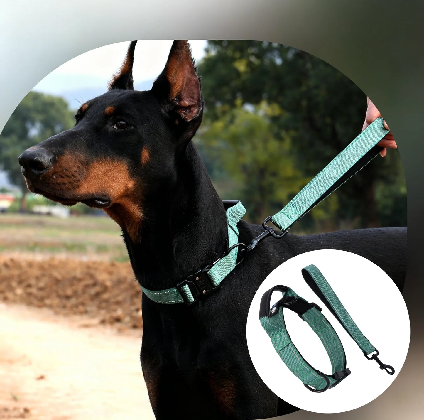Tactical Dog Collar with Leather-Wrapped Leash Handle