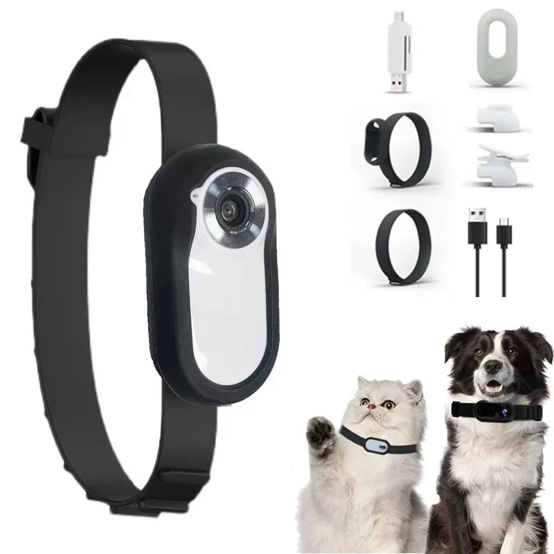 HD 1080P Wireless Pet Collar Camera — No WiFi Required