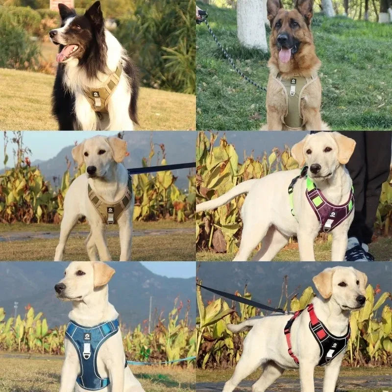 Harnais pour chien avec sangle de poitrine et conception de gilet tactique