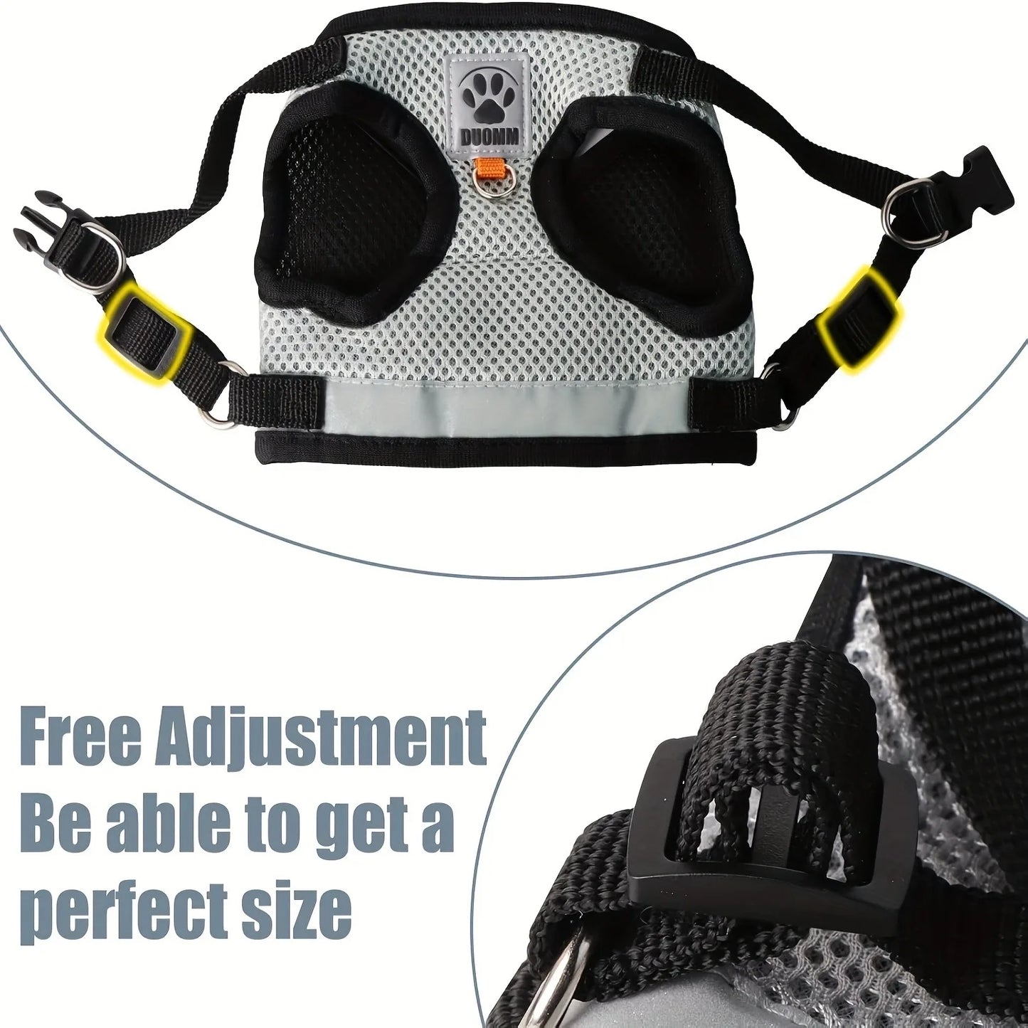 Cat Collar, Harness & Leash Set for Kittens
