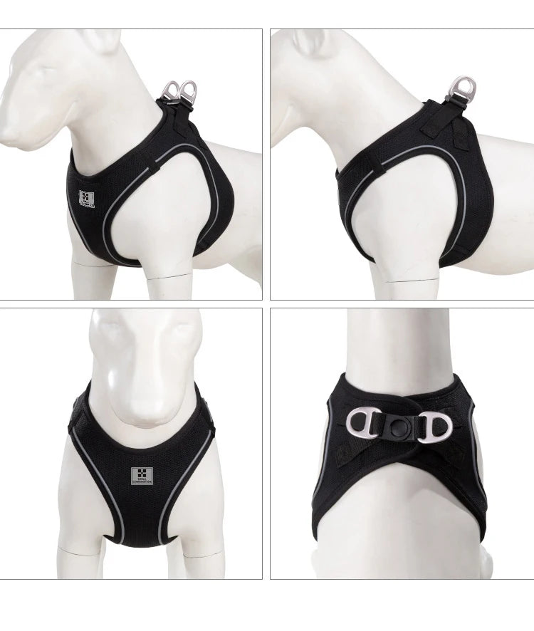 Reflective Dog & Cat Harness with Leash Set