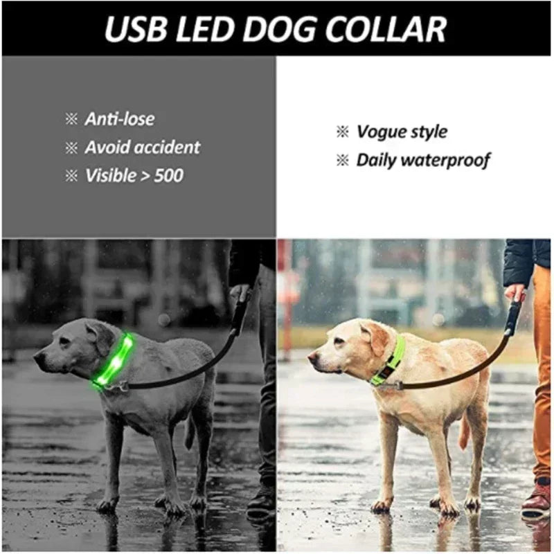 Collier lumineux LED pour chien - Réglable, clignotant, rechargeable - Collier lumineux pour la sécurité nocturne - Harnais lumineux anti-perte pour chien