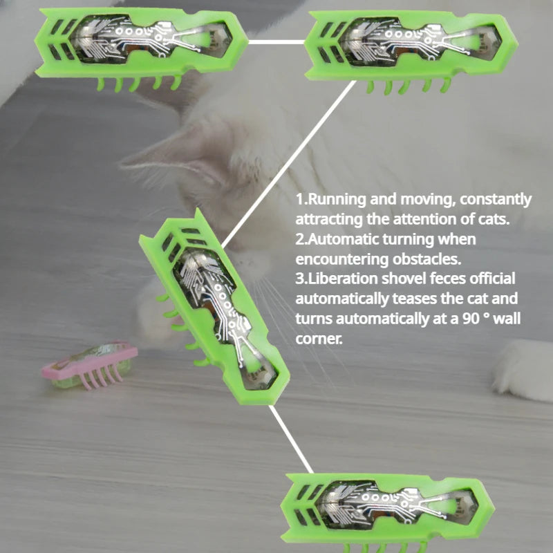 Electronic Cat Bug & Mouse Toys