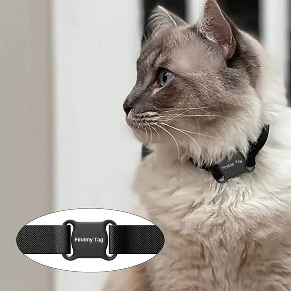 IP67 Bluetooth Pet Tracker with Collar for Dogs & Cats — Findmytag App
