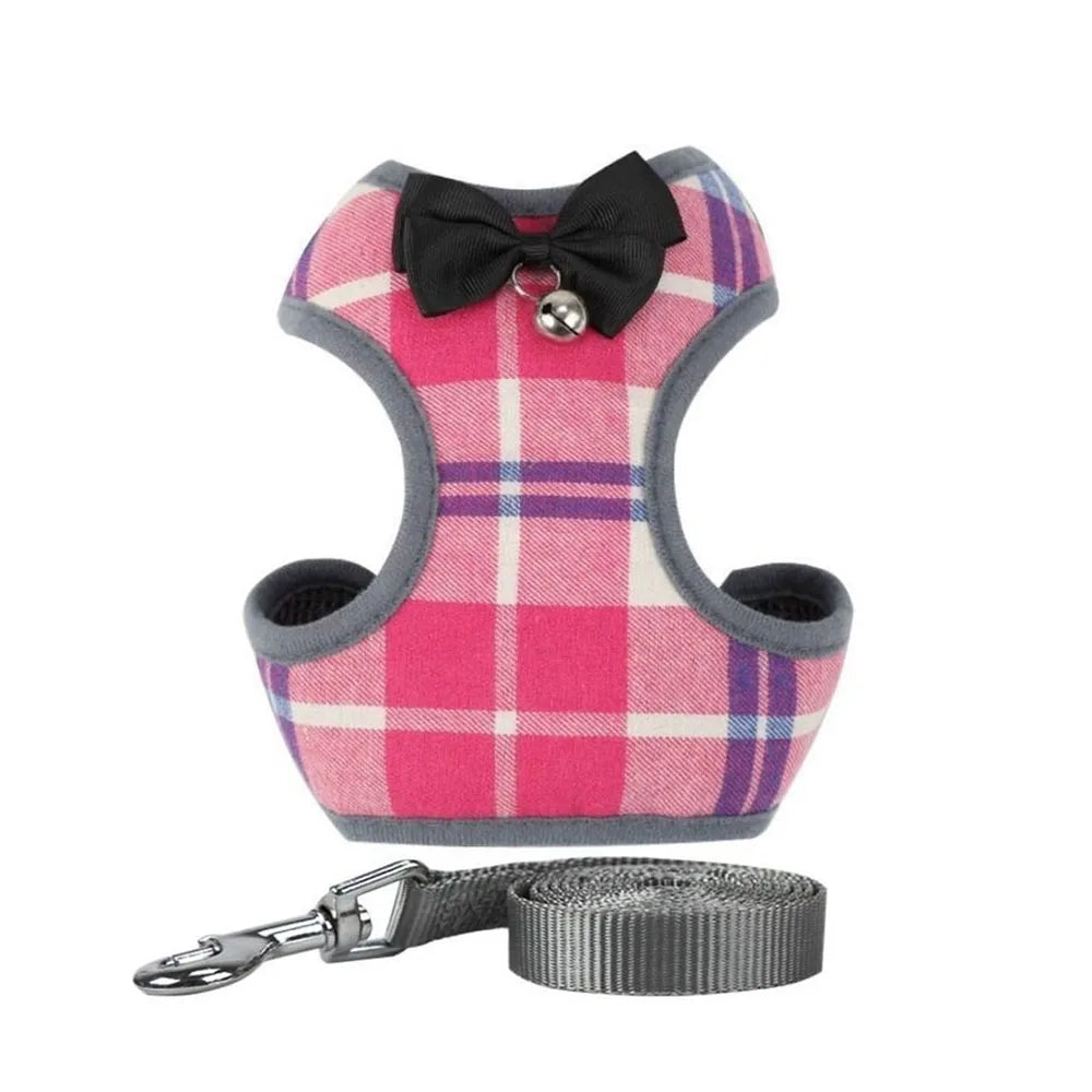 Nylon Mesh Cat & Small Dog Harness Set