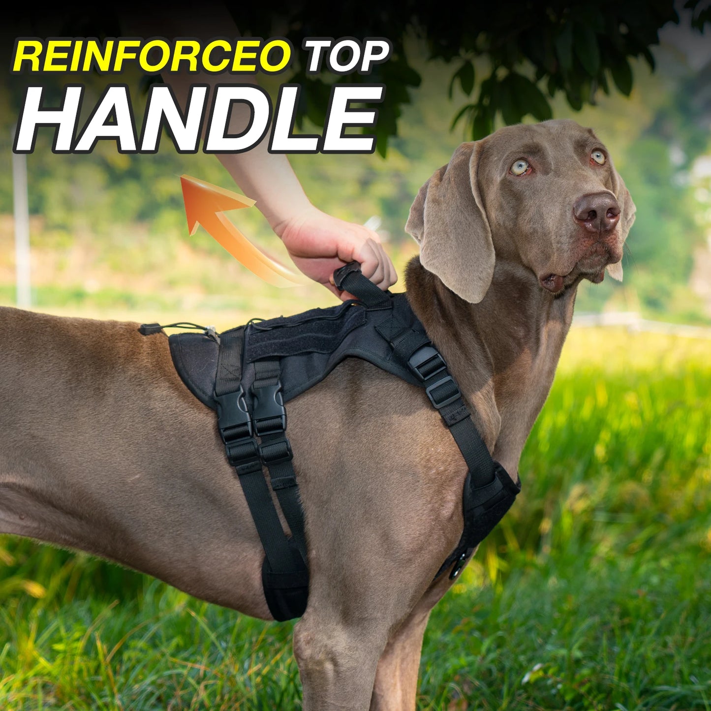 Harnais Tactique pour Chien avec Sangle de Poitrine et Boucle de Renfort