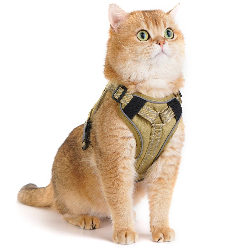 Escape-Proof Tactical Cat Harness — Soft Mesh Vest for Cats & Small Dogs