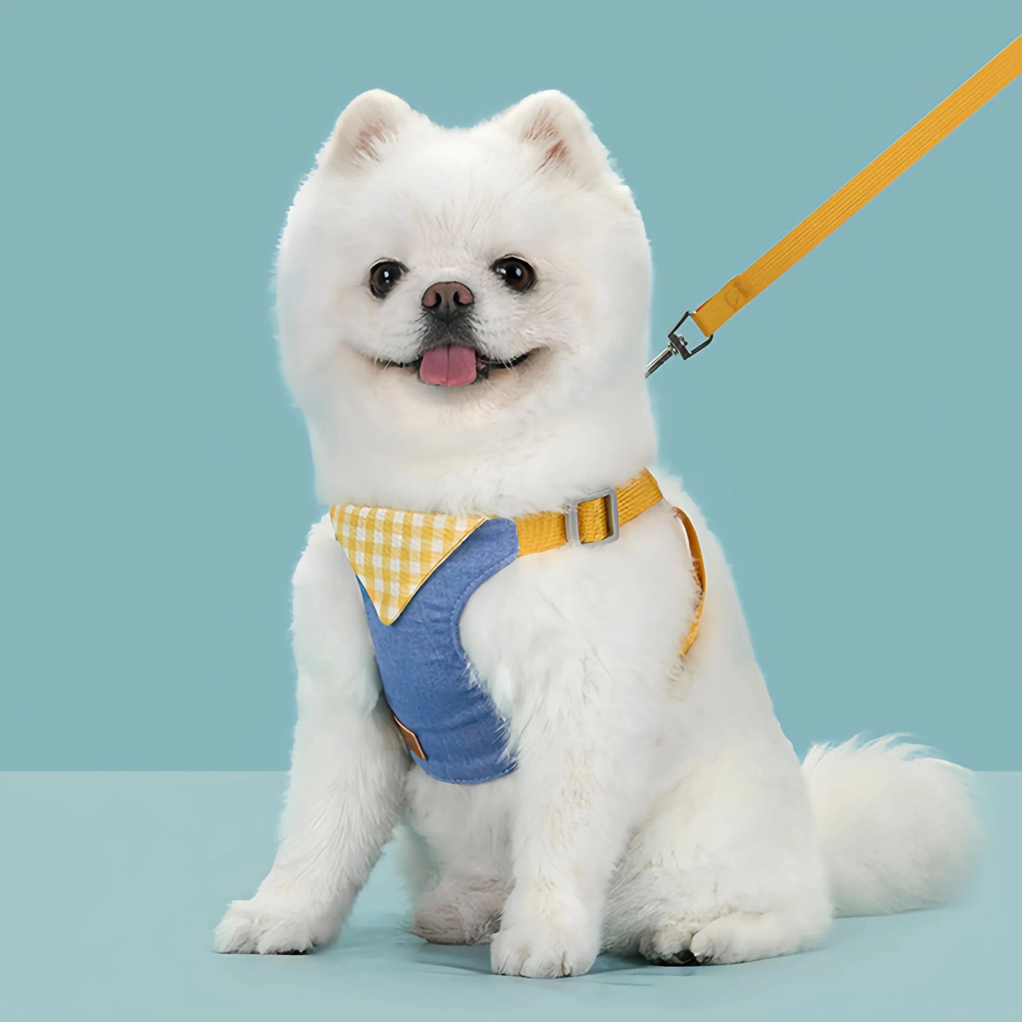Denim No-Pull Harness & Leash Set for Dogs & Cats