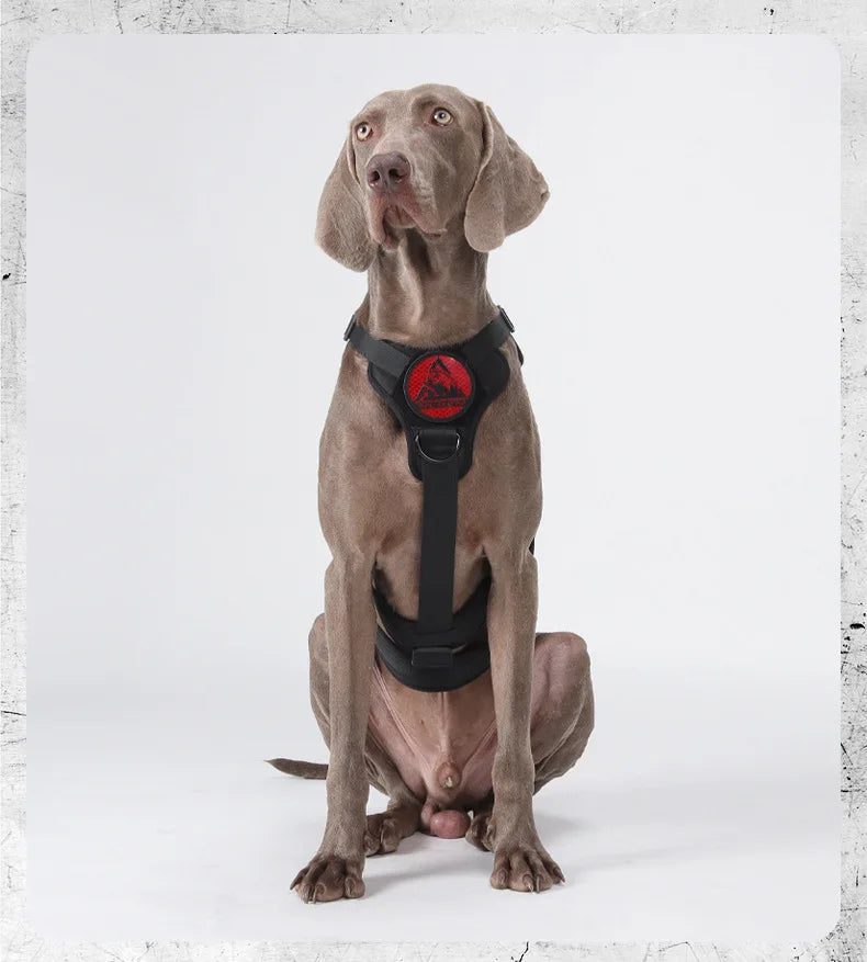 Harnais Tactique Militaire pour Grands Chiens