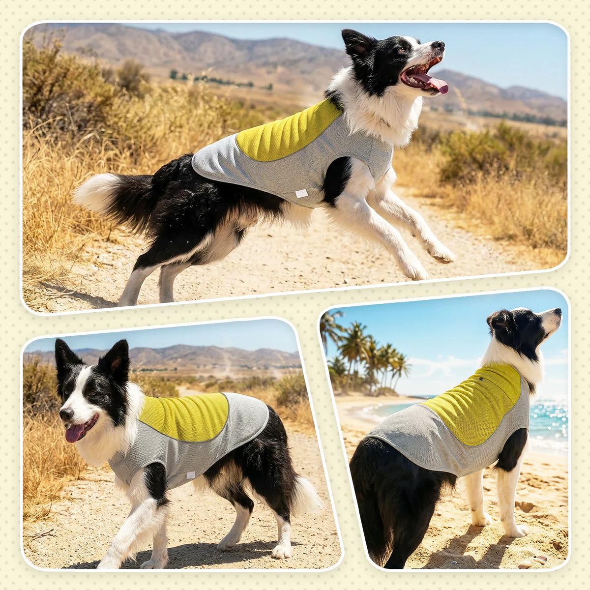 Breathable Dog Cooling Vest with Ice Pack Pocket — Heatstroke Prevention
