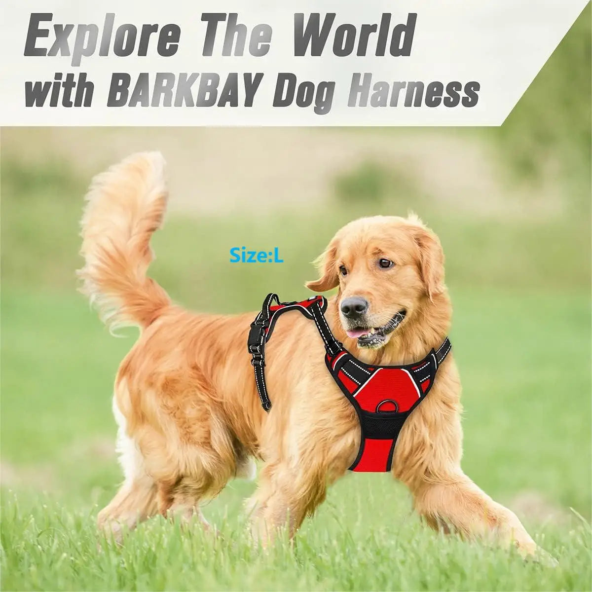 Harnais anti-traction pour chien avec attache frontale et poignée | Gilet réfléchissant robuste pour des promenades faciles