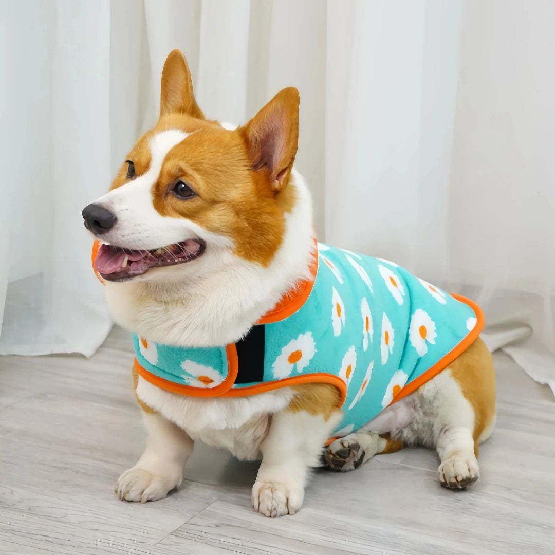 Manteau polaire à capuche pour chien avec trou pour laisse | Veste d'hiver chaude et ajustable pour chiens de petite à grande taille
