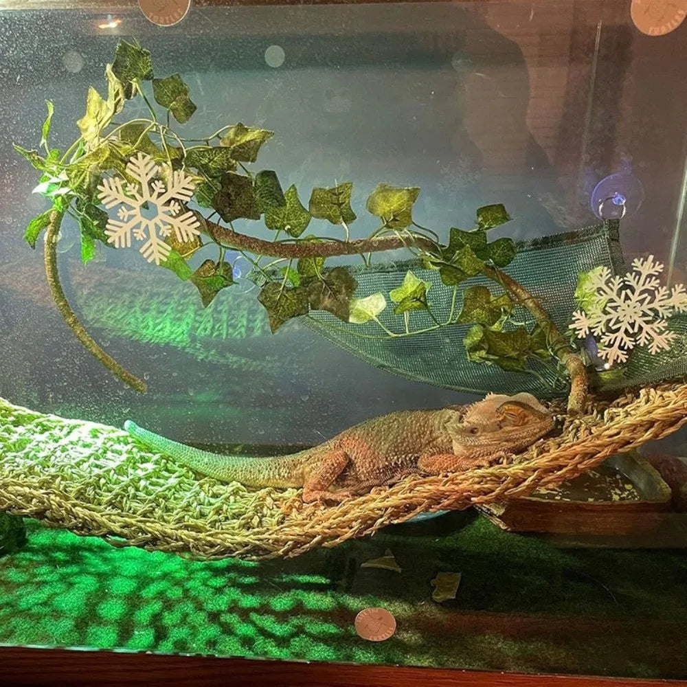 Rattan Reptile Climbing Vine Set