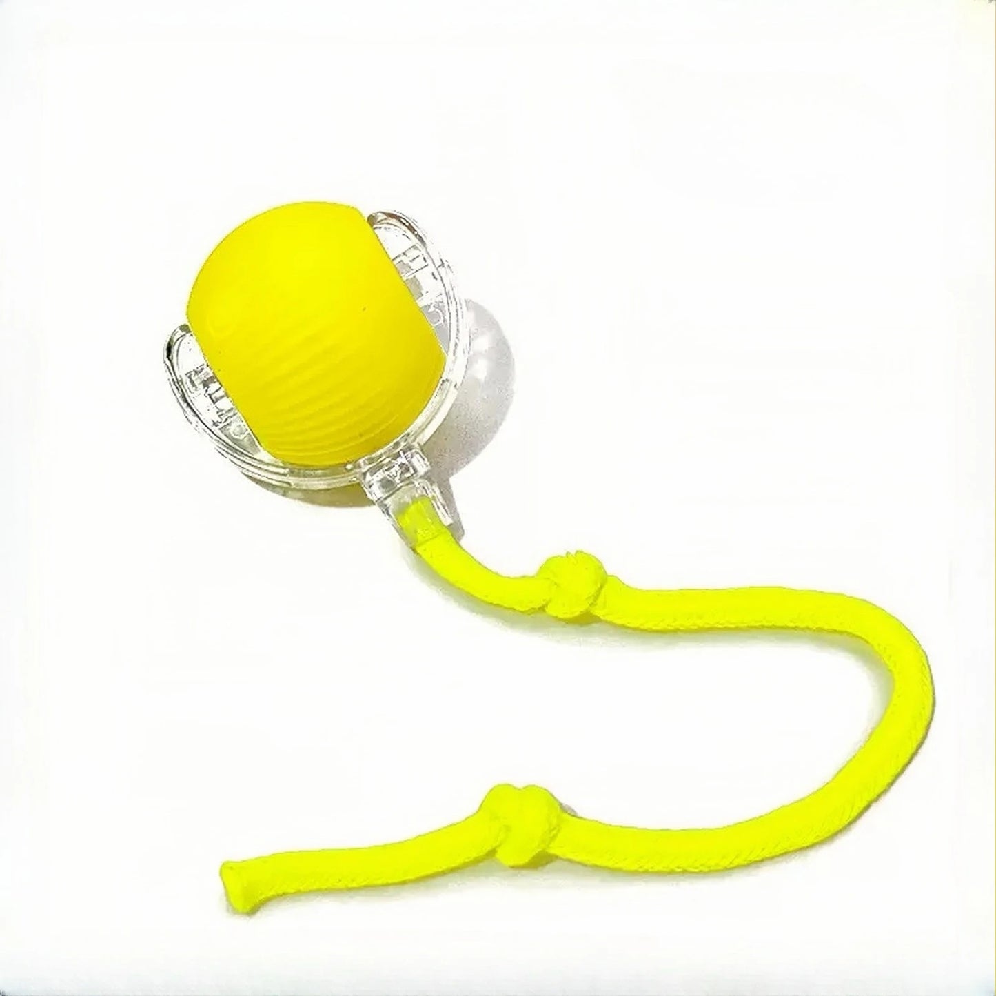 Automatic Rolling Ball Cat Toy - Rechargeable