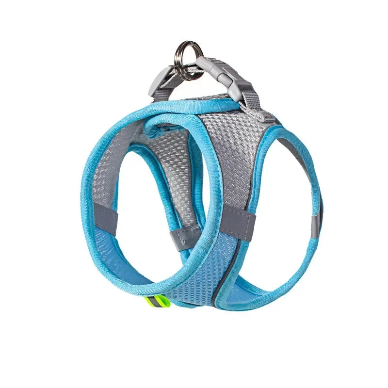 Small Dog Harness and Leash Set