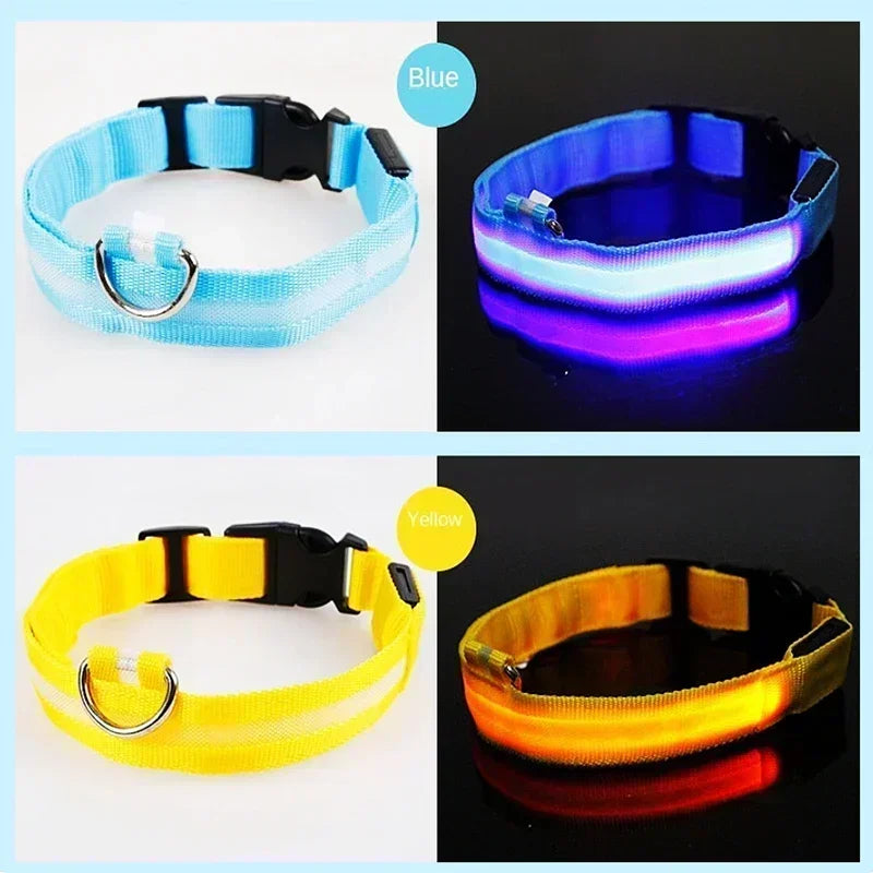 Collier lumineux LED pour chien - Réglable, clignotant, rechargeable - Collier lumineux pour la sécurité nocturne - Harnais lumineux anti-perte pour chien