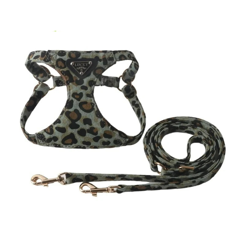 Leopard Print Dog Harness & Lead Set – Padded Vest for Small Dogs