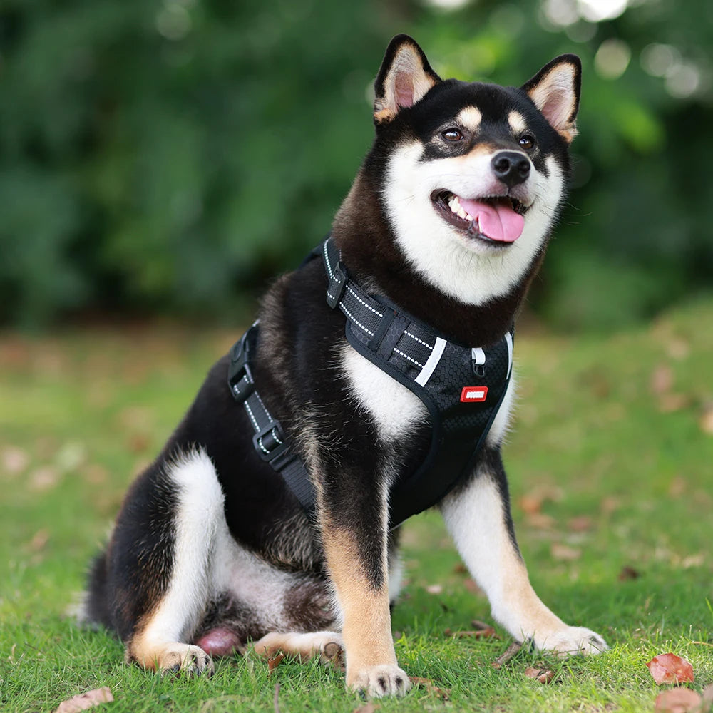 Reflective No-Pull Dog Harness Vest with AirTag Holder