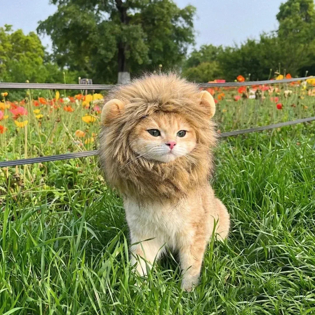 Lion Mane Pet Costume for Dogs and Cats