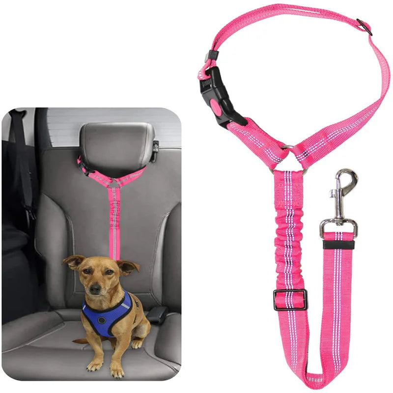 Reflective Dog Car Seat Belt and Walking Leash for Small Dogs