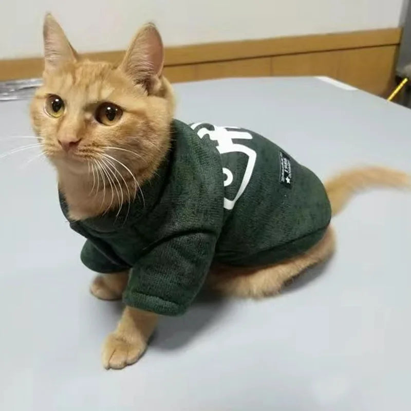 Fish Bone Print Pet Jumper