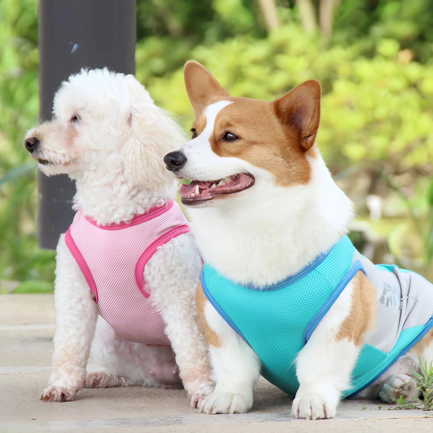 Reflective Cooling Vest for Dogs & Cats