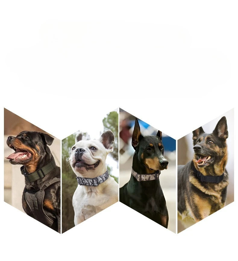 Harnais Tactique Réglable pour Grands Chiens