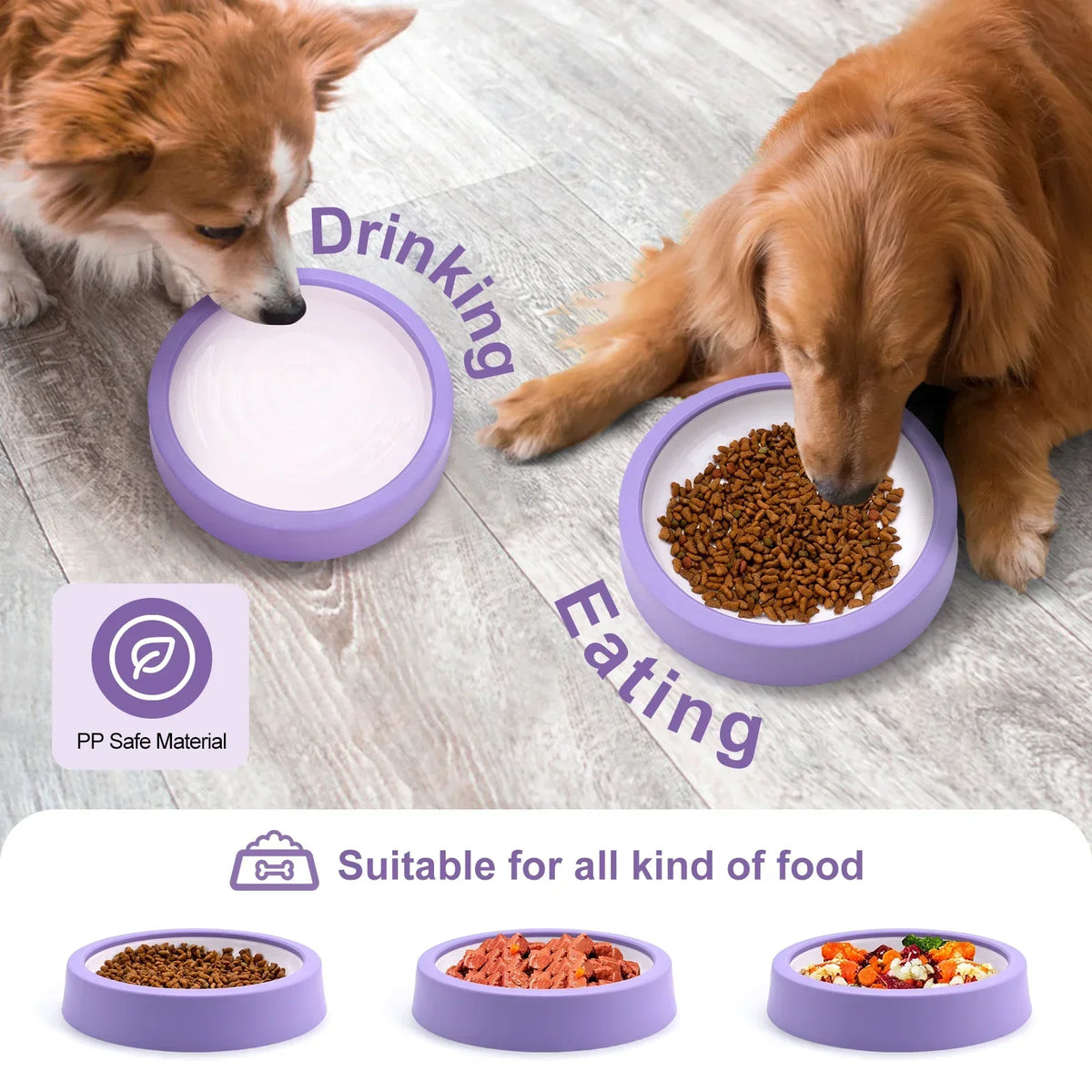 Dog Slow Feeder Bowl with Anti-Slip Pads