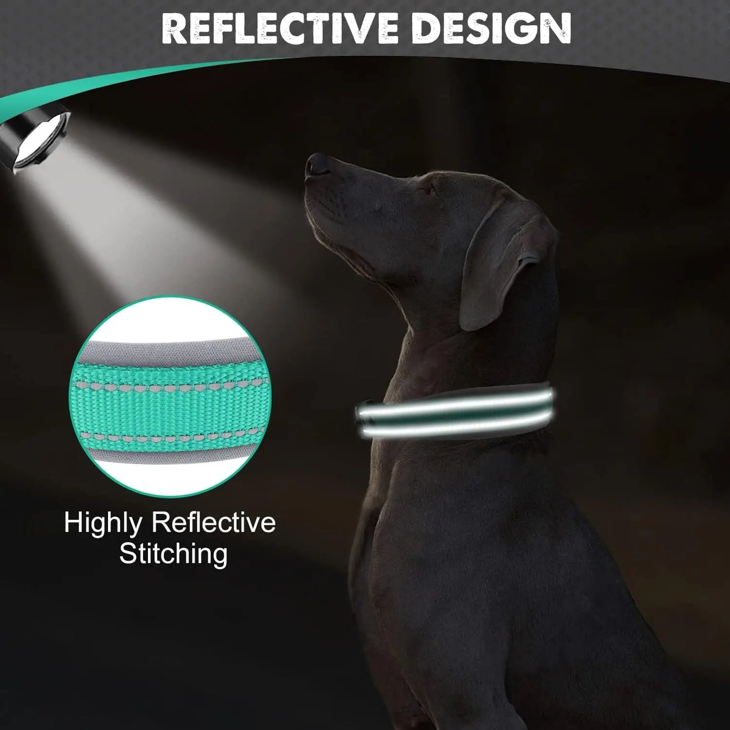 Padded Reflective Nylon Dog Collar – Adjustable for Small, Medium & Large Dogs