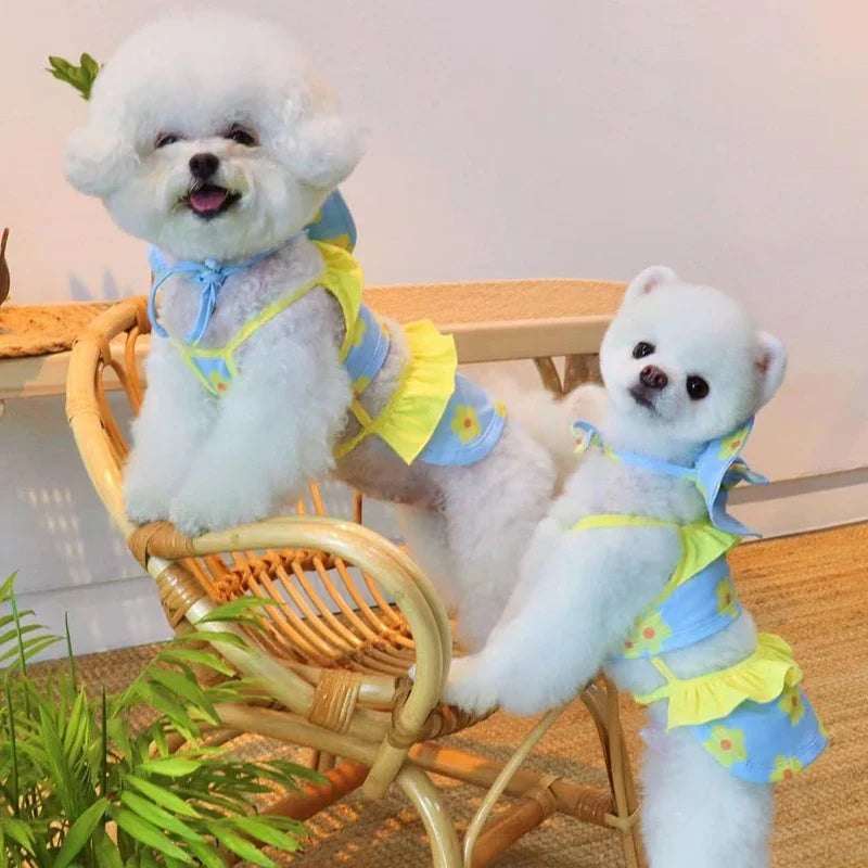 Dog Bikini & Swim Cap Set