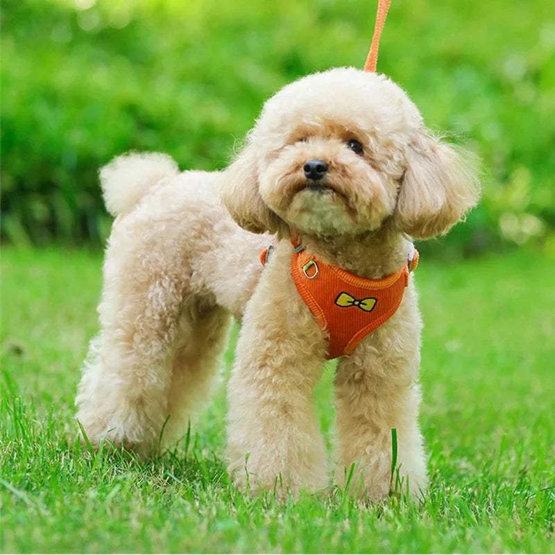Gilet Harnais Tactique pour Chien - Harnais Anti-Traction pour Chiens Petits à Grands