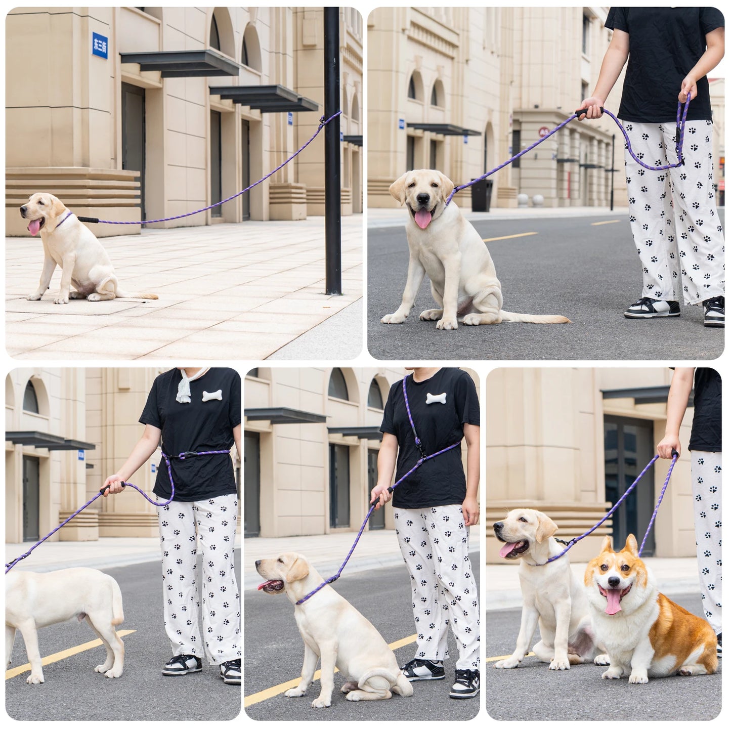 Heavy Duty Multi-Function Dog Lead with Padded Handle – 7.5ft Hands-Free