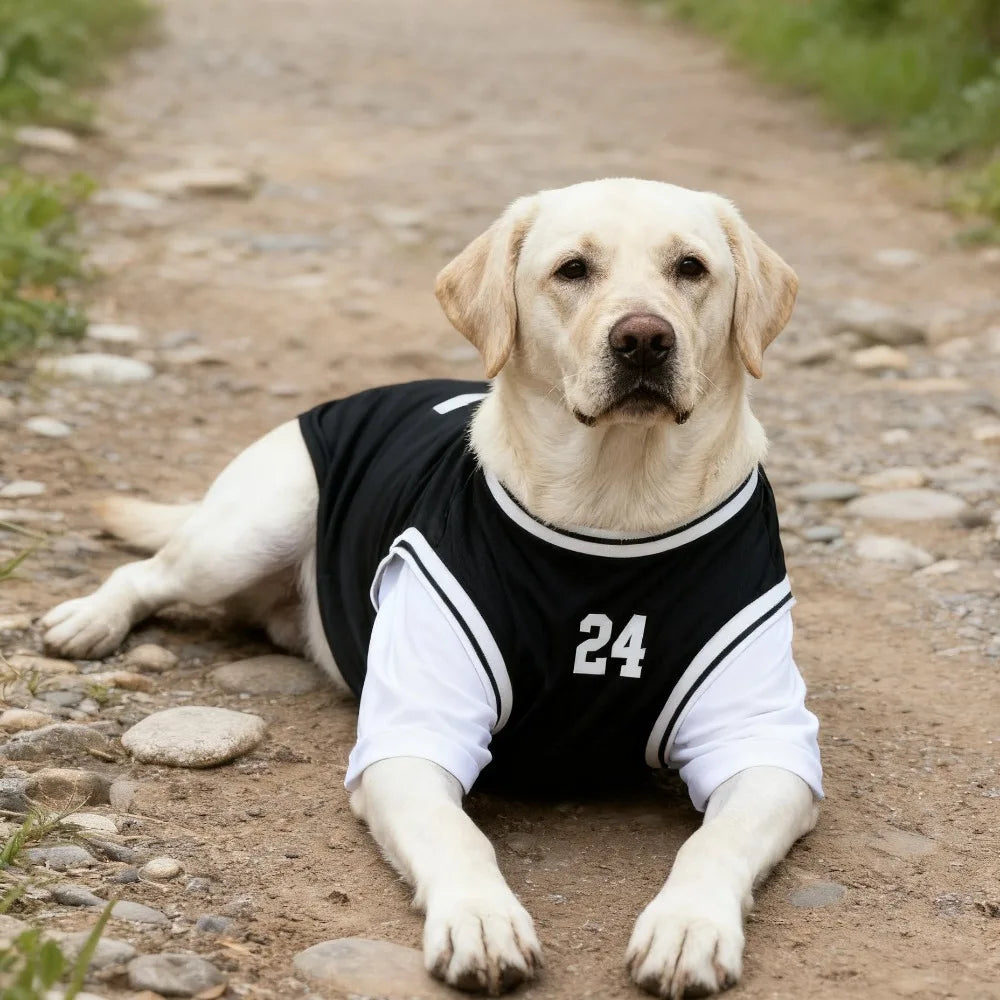 T-shirt gilet rafraîchissant pour chien en similicuir imprimé ballon de basket | Haut décontracté d'été pour chiens de taille moyenne et grande