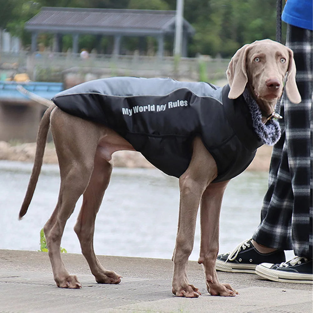 Reflective Waterproof Winter Dog Coat with Fur Collar & Harness