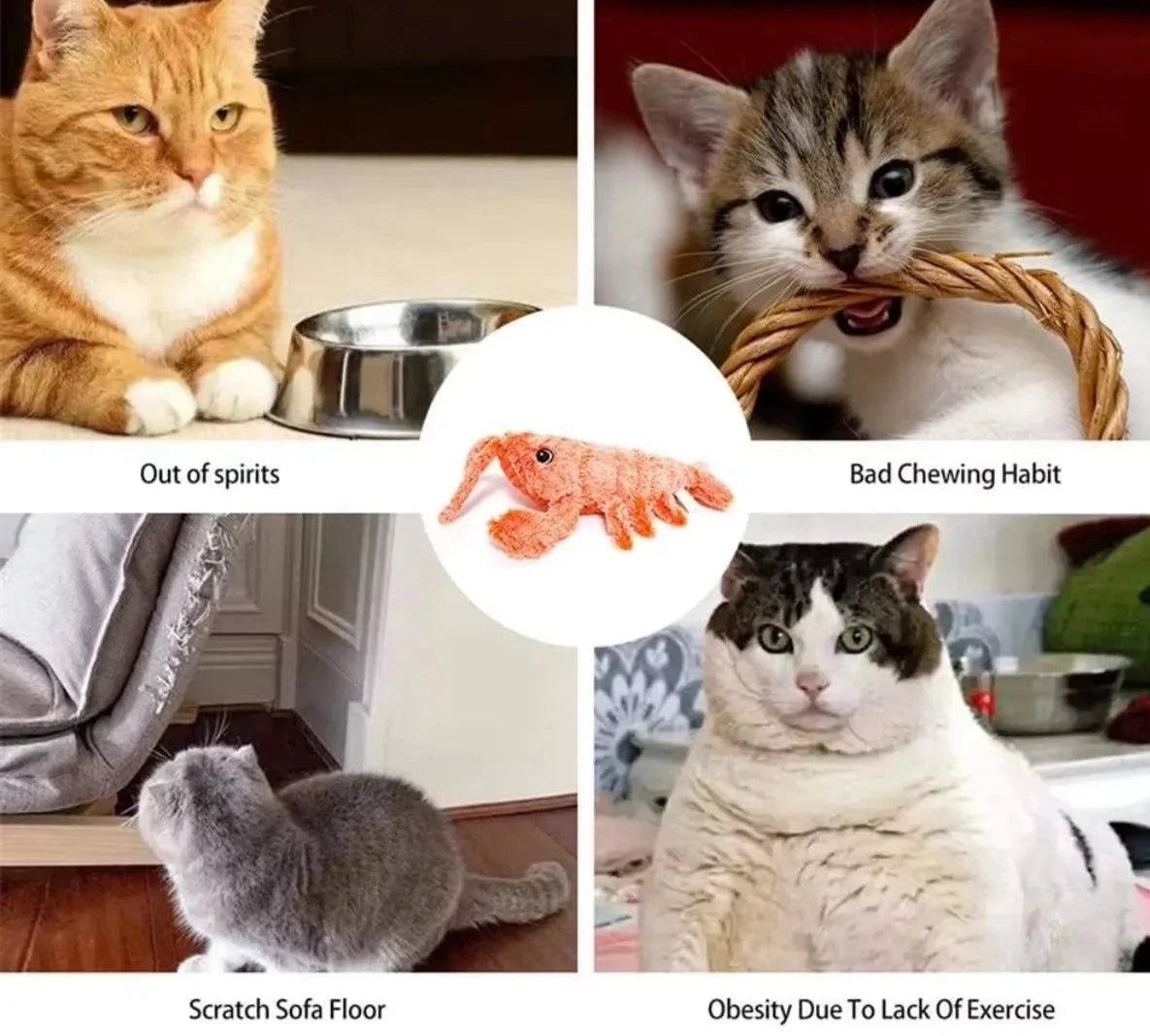 Jouet interactif électrique sauteur pour chat avec herbe à chat