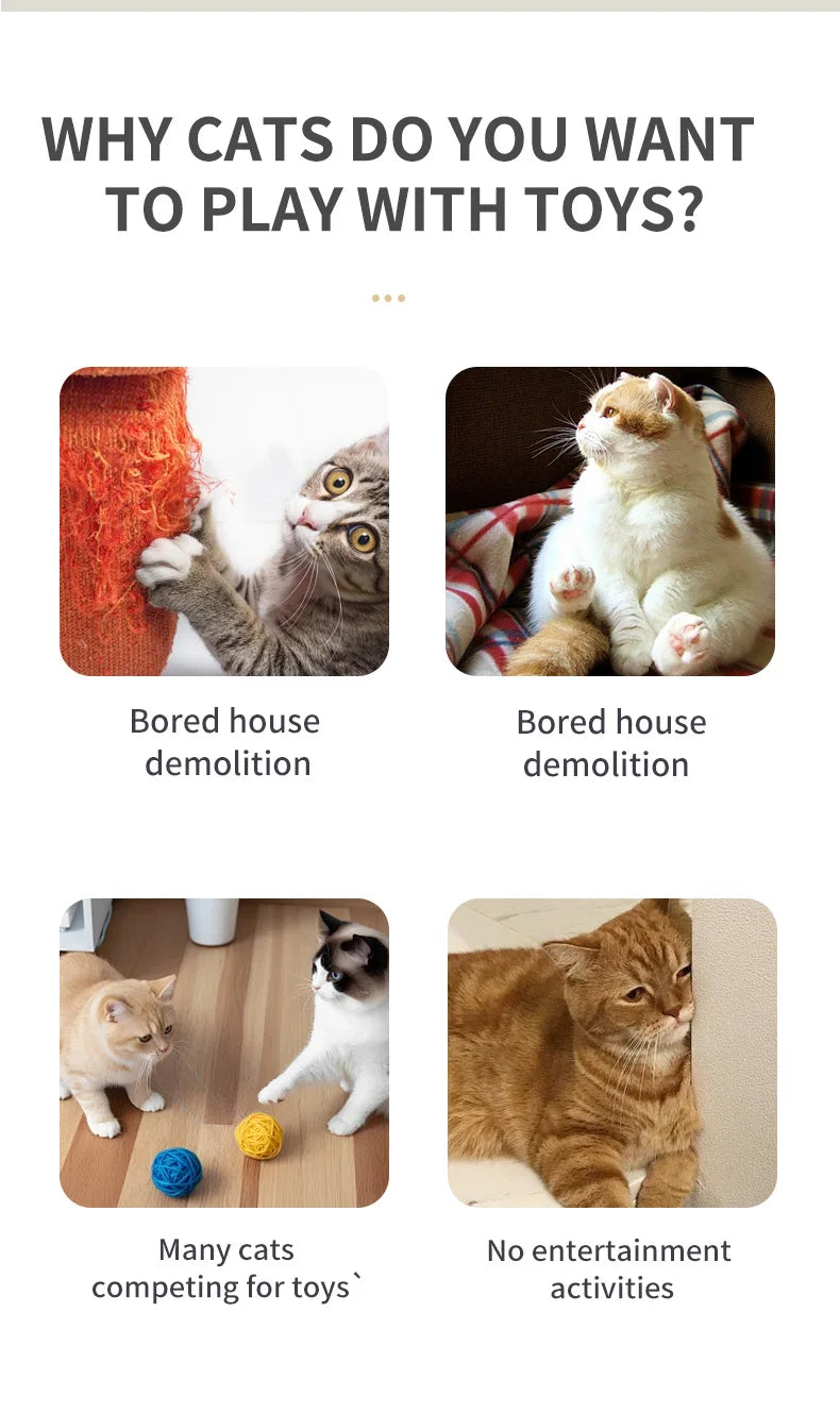Interactive Caterpillar Cat Toy