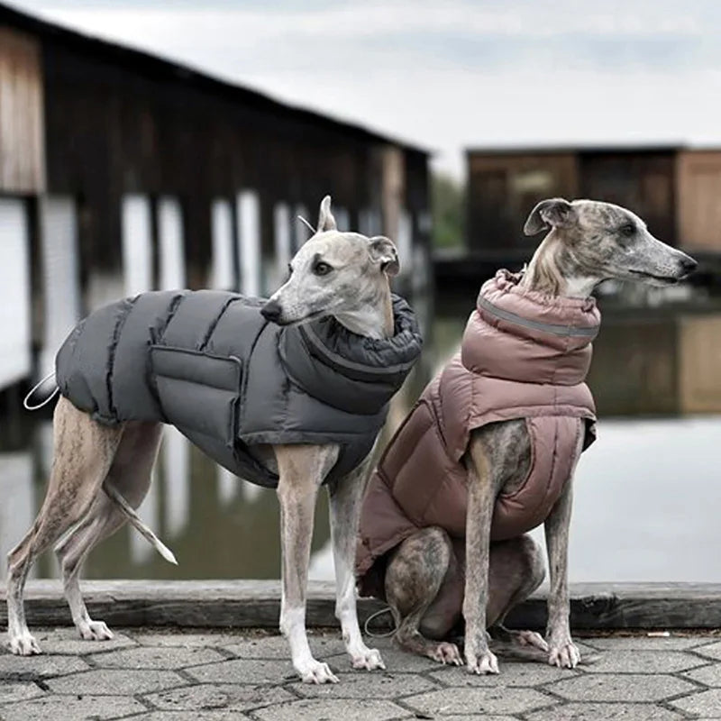 Waterproof High-Collar Down Jacket for Dogs