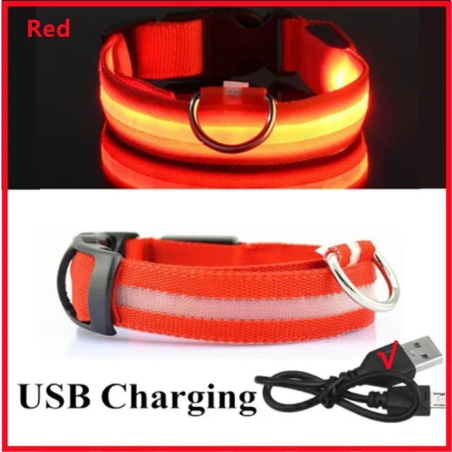 Collier lumineux LED pour chien - Réglable, clignotant, rechargeable - Collier lumineux pour la sécurité nocturne - Harnais lumineux anti-perte pour chien