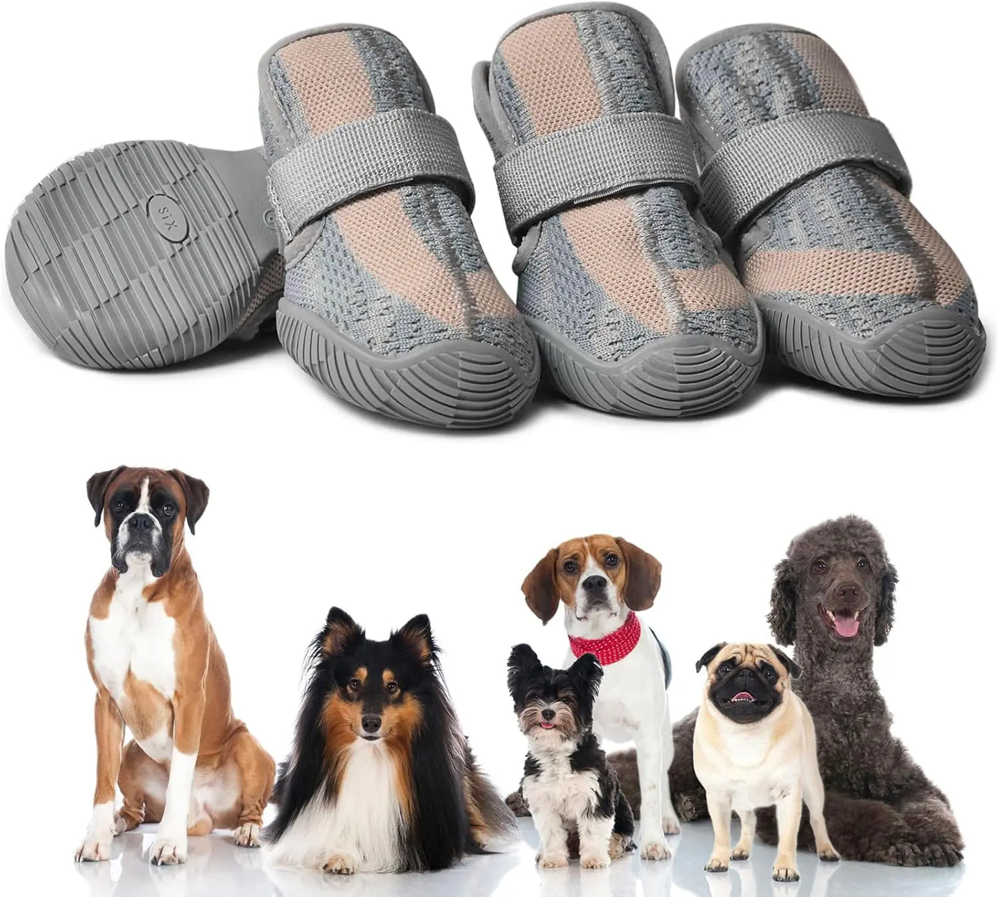 Chaussures et protections pour les pattes de chien