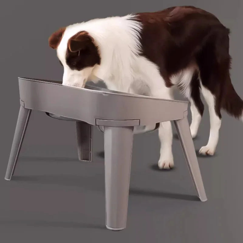Stainless Steel Pet Bowl – Food & Water Dish for Dogs & Cats