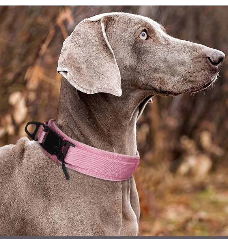 Adjustable Tactical Training Collar for Medium & Large Dogs