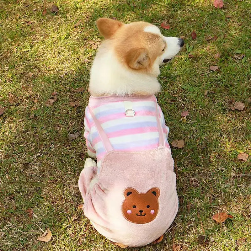 Combinaison polaire douce avec anneau de laisse pour chiens et chats de petite, moyenne et grande taille