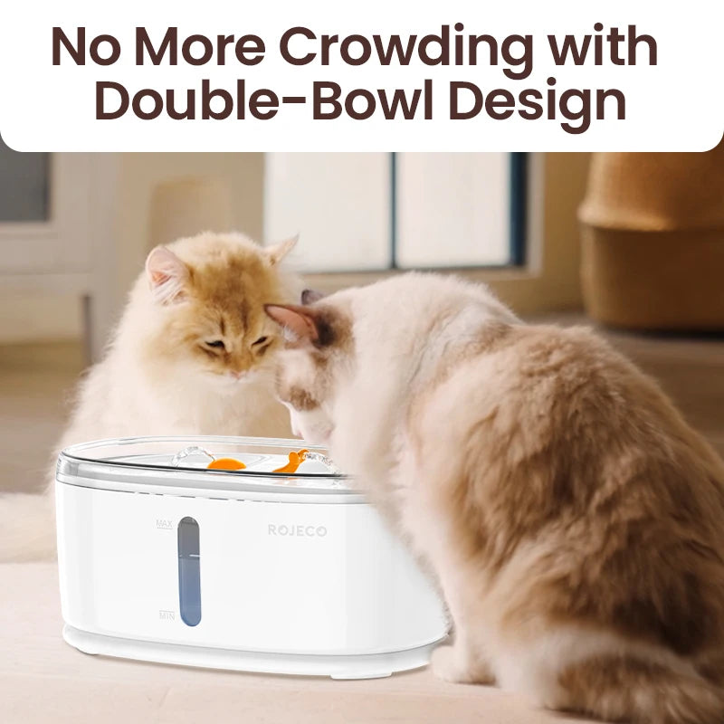 Dual Bowl Automatic Pet Water Fountain for Multiple Cats and Dogs