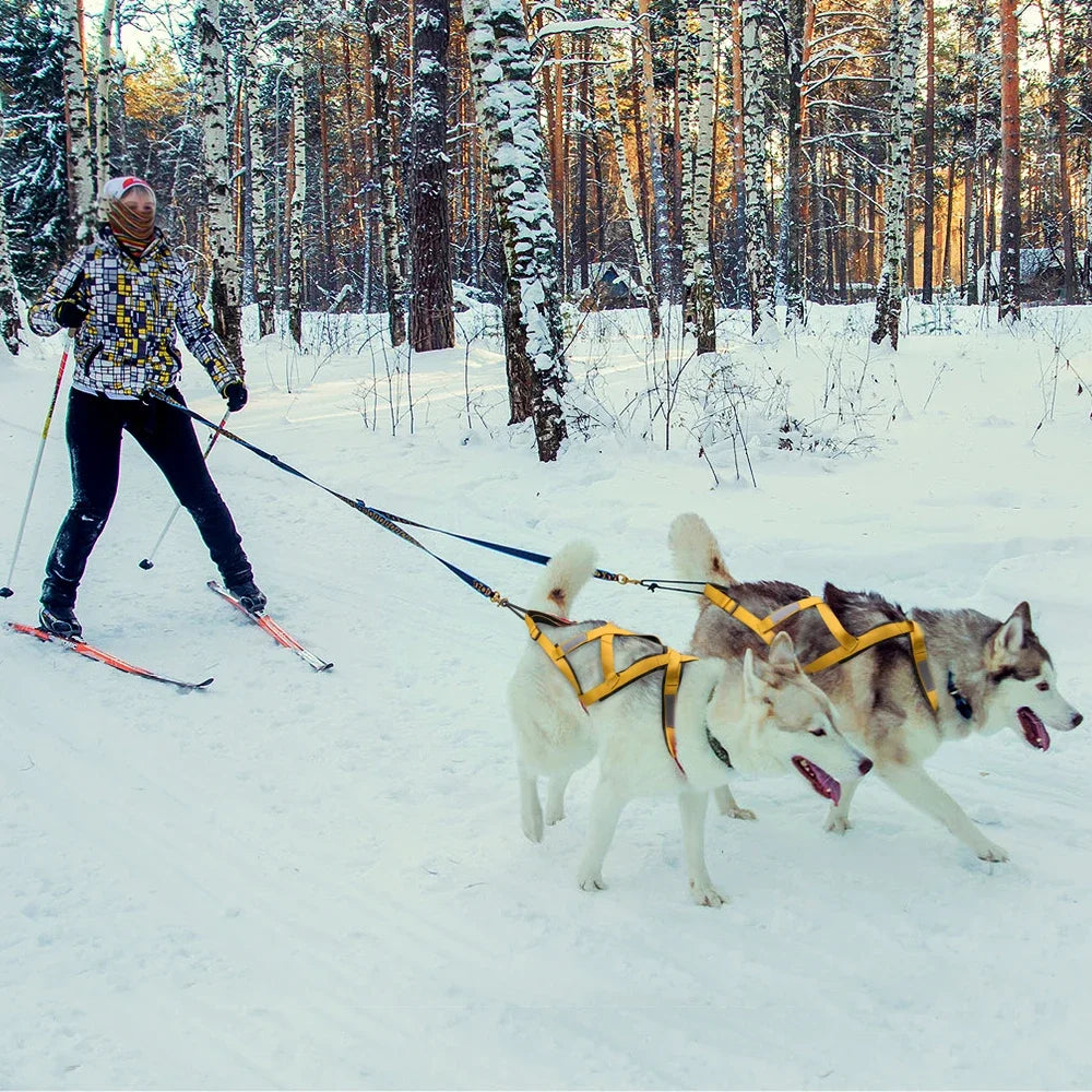 Reflective Padded Dog Sledding Harness for Medium & Large Dogs