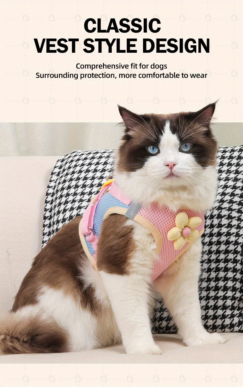 Breathable Mesh Pet Harness and Leash Set