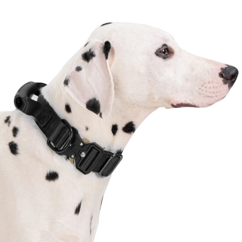 Heavy Duty Tactical Dog Collar with Handle — Metal Buckle Training Collar for Medium & Large Dogs