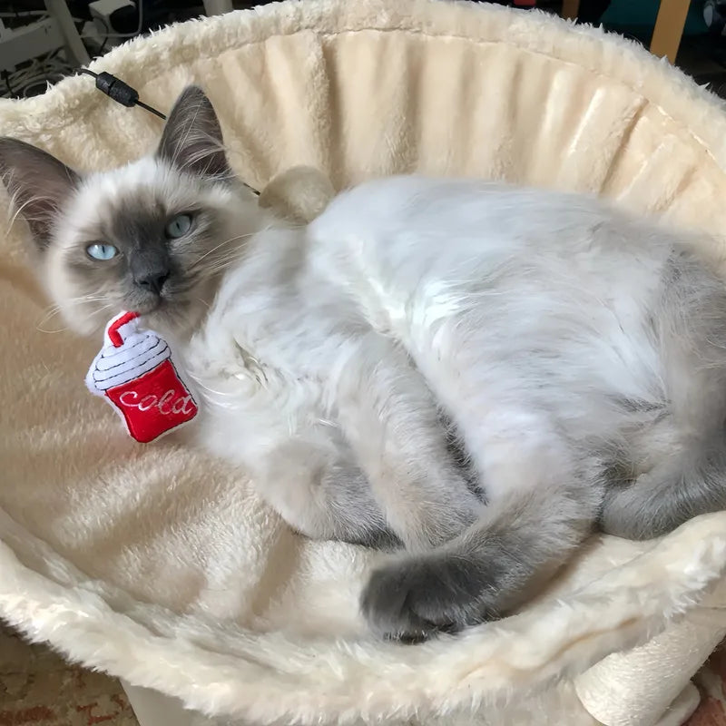 Catnip Plush Chew Toys for Kittens – Bite-Resistant with Real Catmint