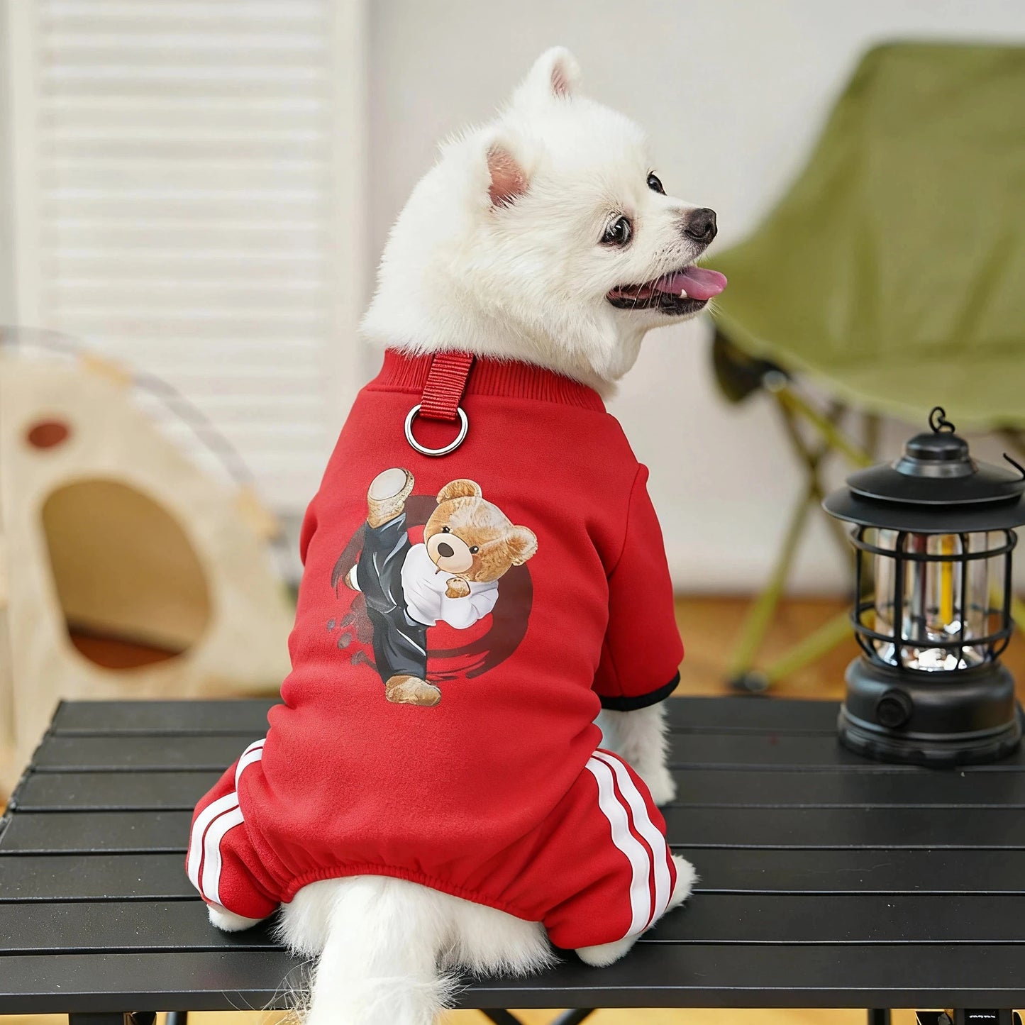 Combinaison à capuche en polaire pour chien | Sweat-shirt chaud automne-hiver pour chiots, chats et petits chiens
