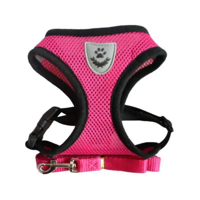 Harnais anti-évasion pour chat et chien avec laisse - Gilet en maille réglable pour la promenade